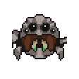 File:Wolf Spider.png