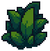 Plant 5.png